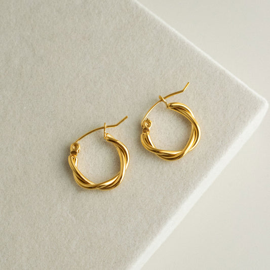Braided Hoop Earrings