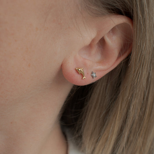 Dolphin Studs