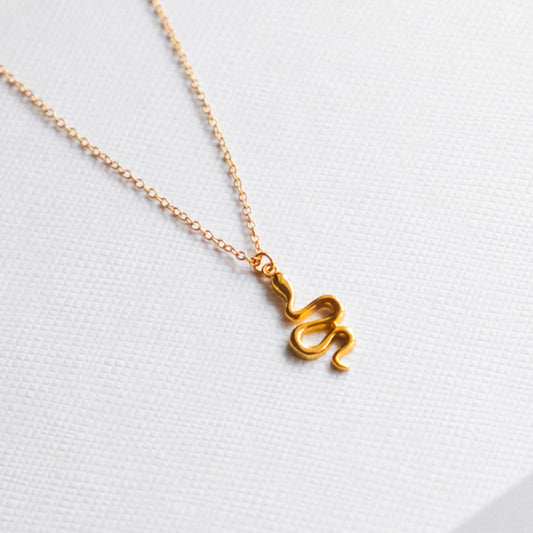 Snake Charm Necklace
