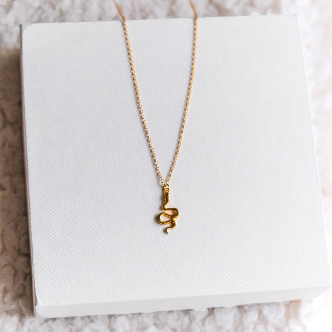 Snake Charm Necklace