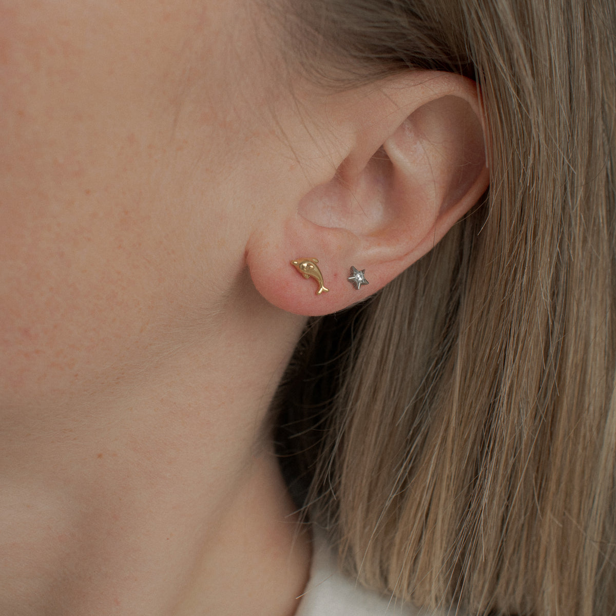 Dolphin Studs