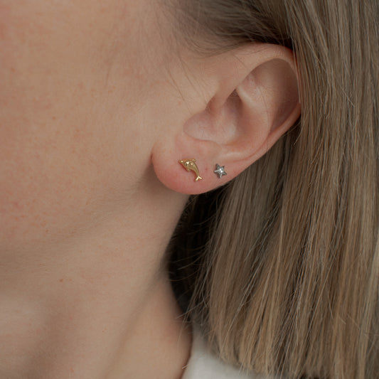 Dolphin Studs