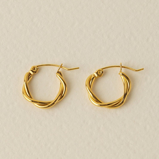 Braided Hoop Earrings