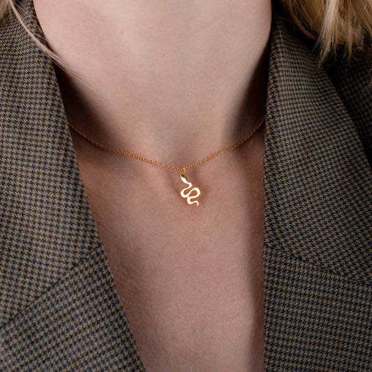 Snake Charm Necklace