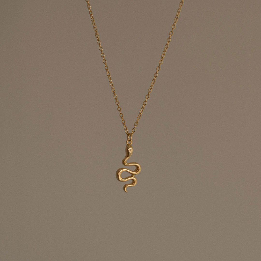 Snake Charm Necklace