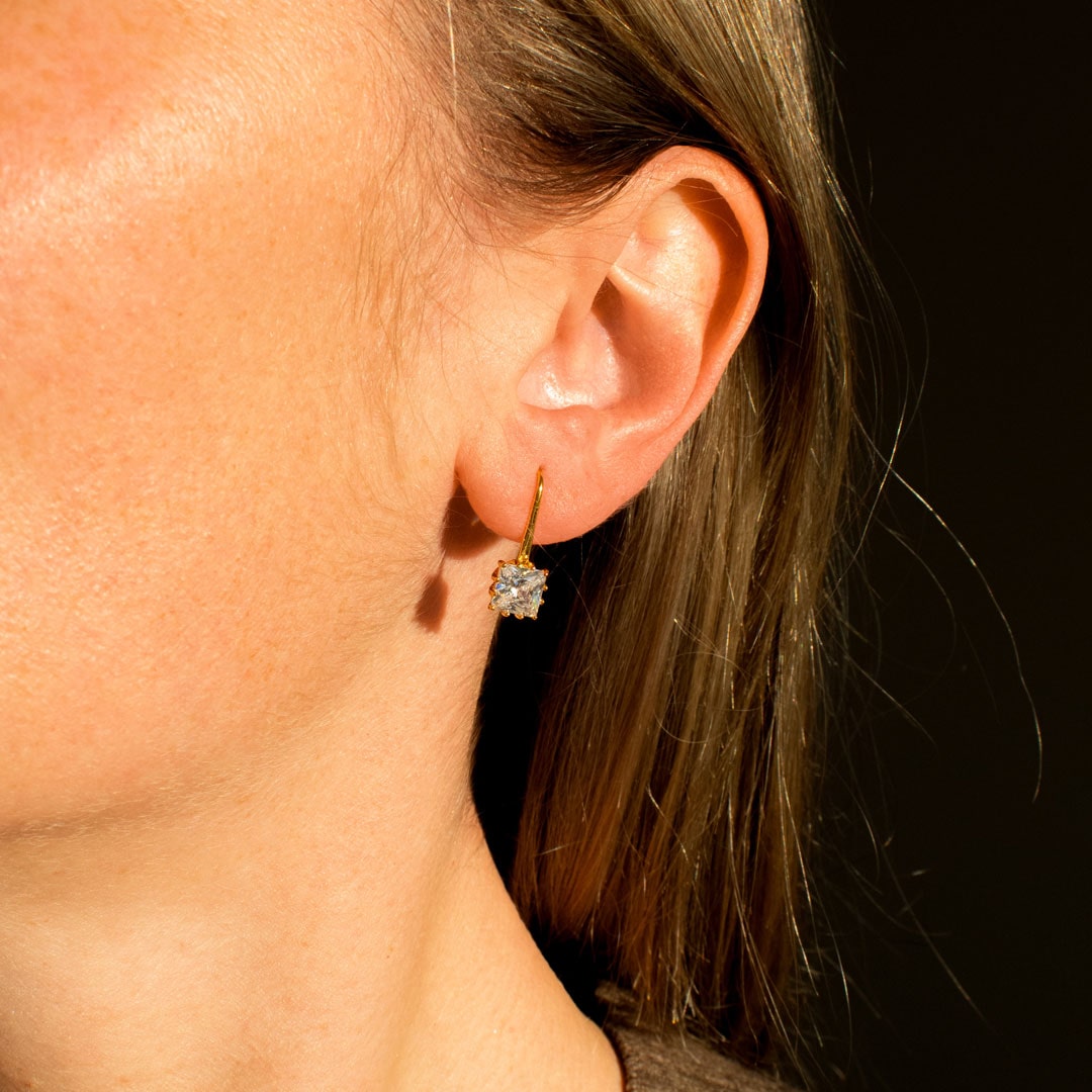 Lux Crystal Hook Earrings