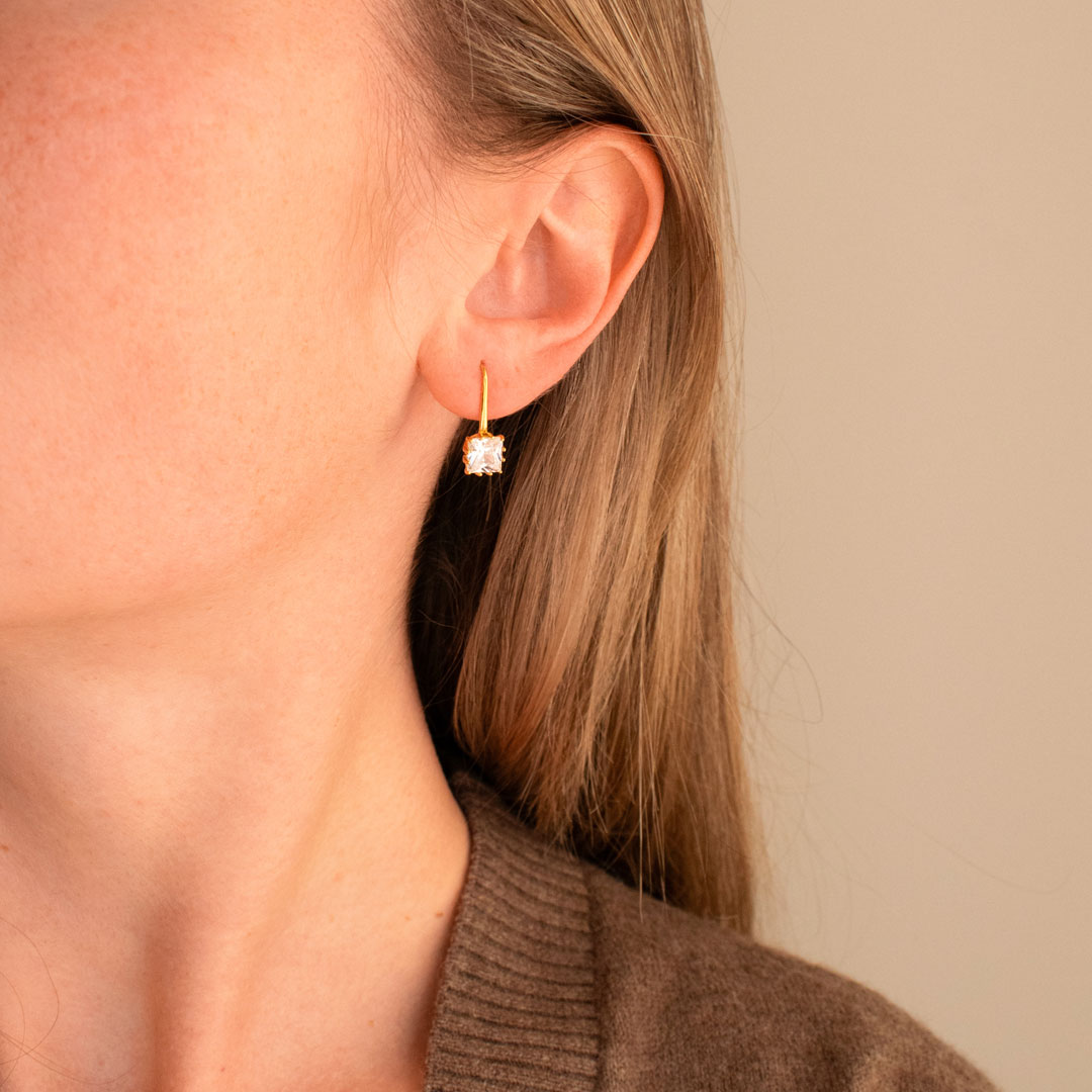 Lux Crystal Hook Earrings