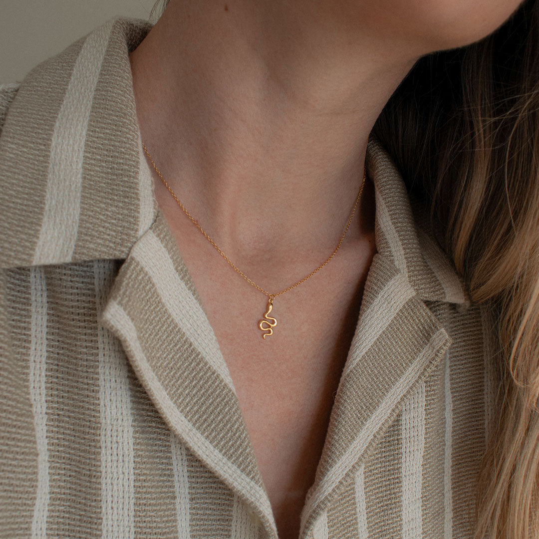Snake Charm Necklace