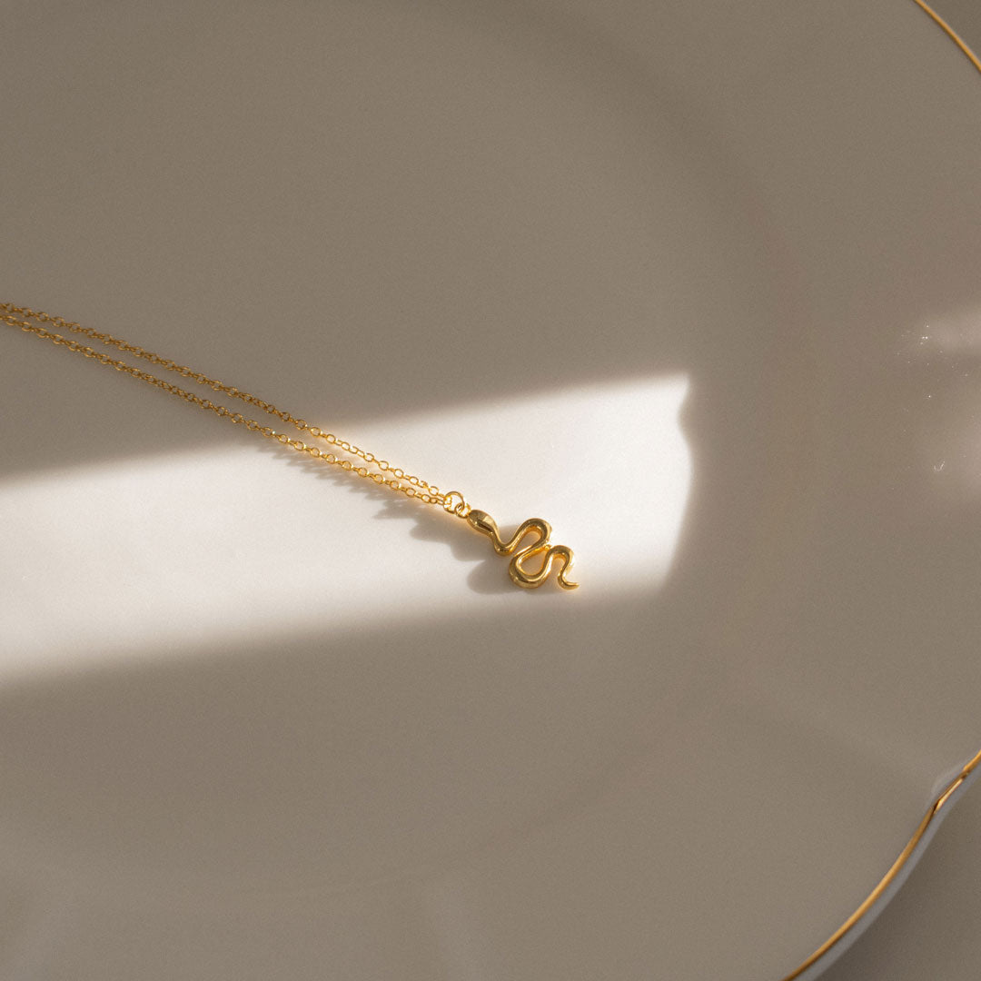 Snake Charm Necklace