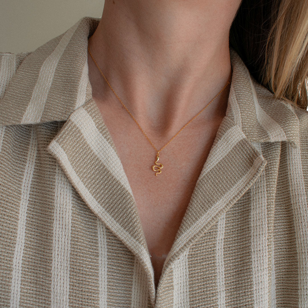 Snake Charm Necklace