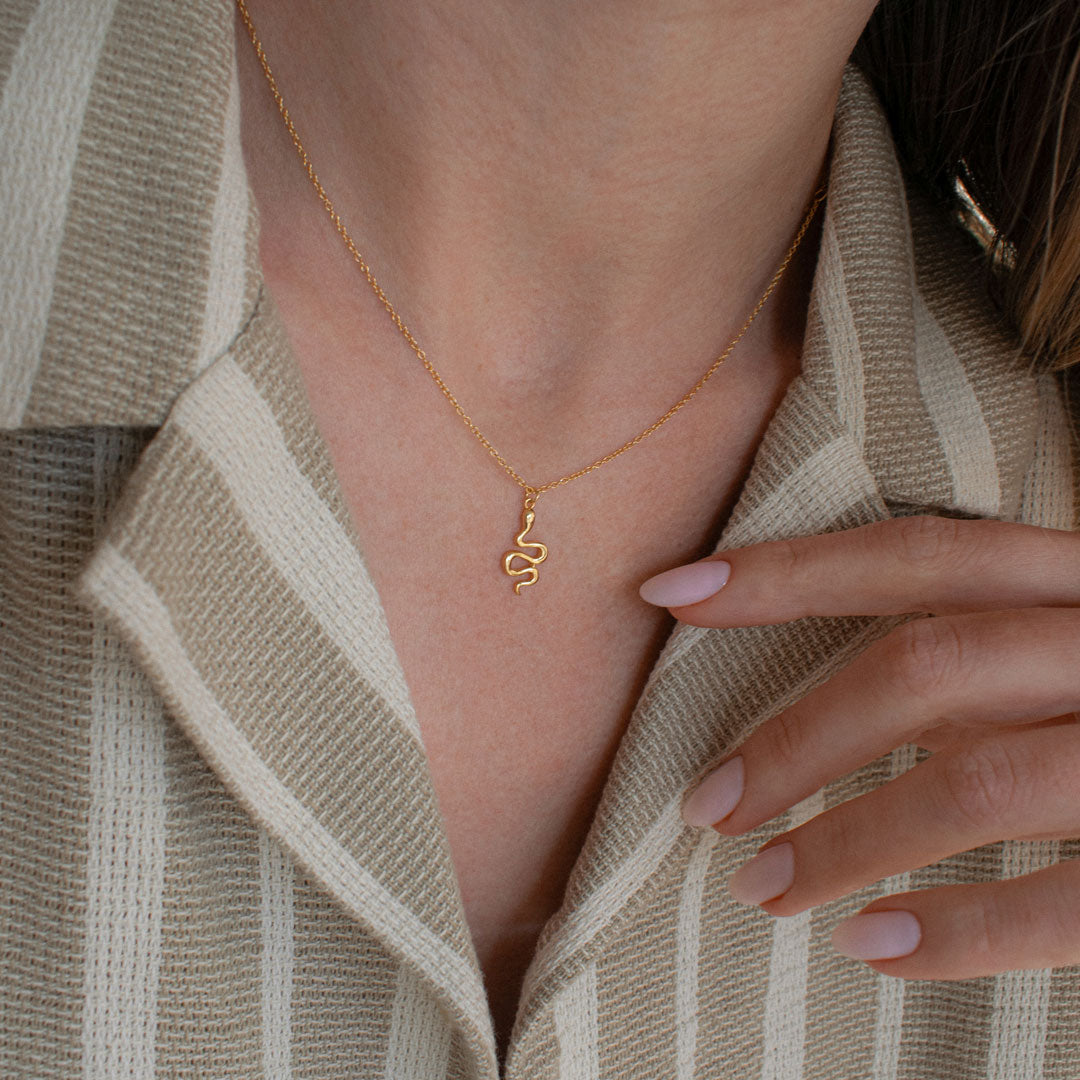 Snake Charm Necklace