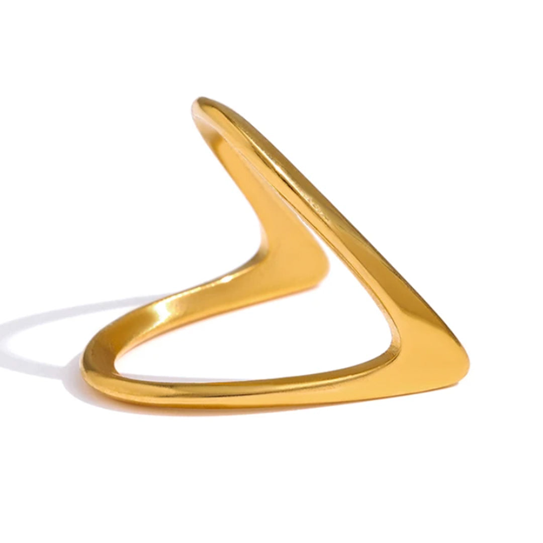 Perfection Geometric Ring